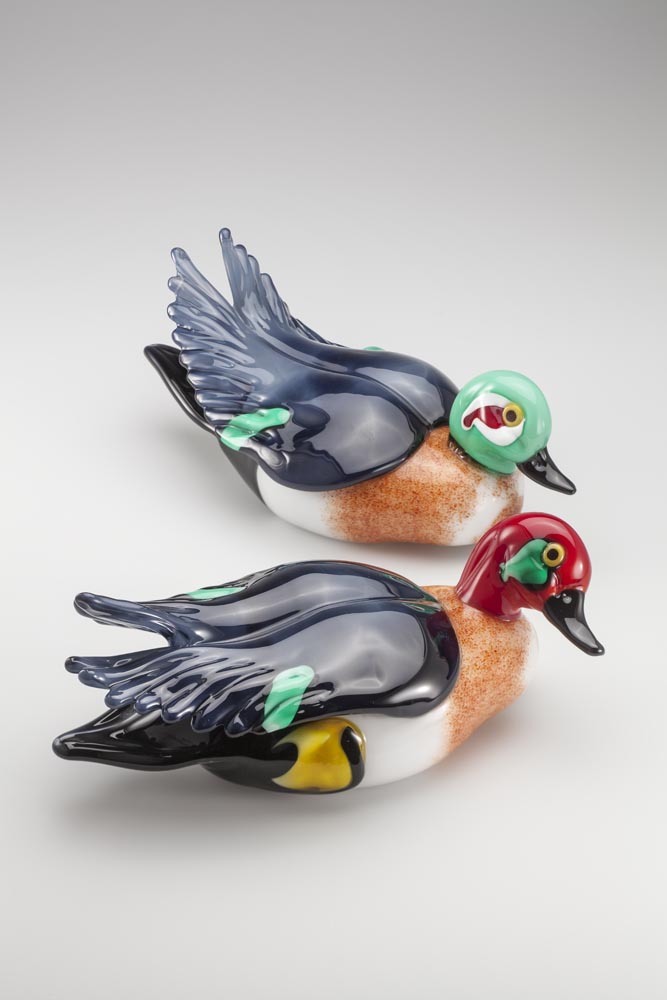 Birds Collection