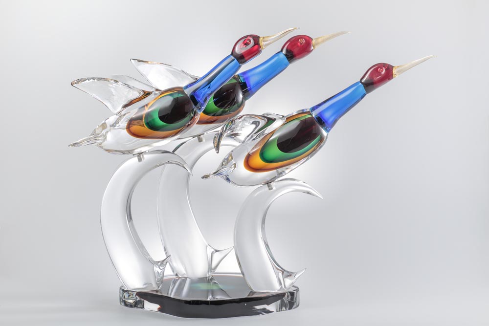 Birds Collection