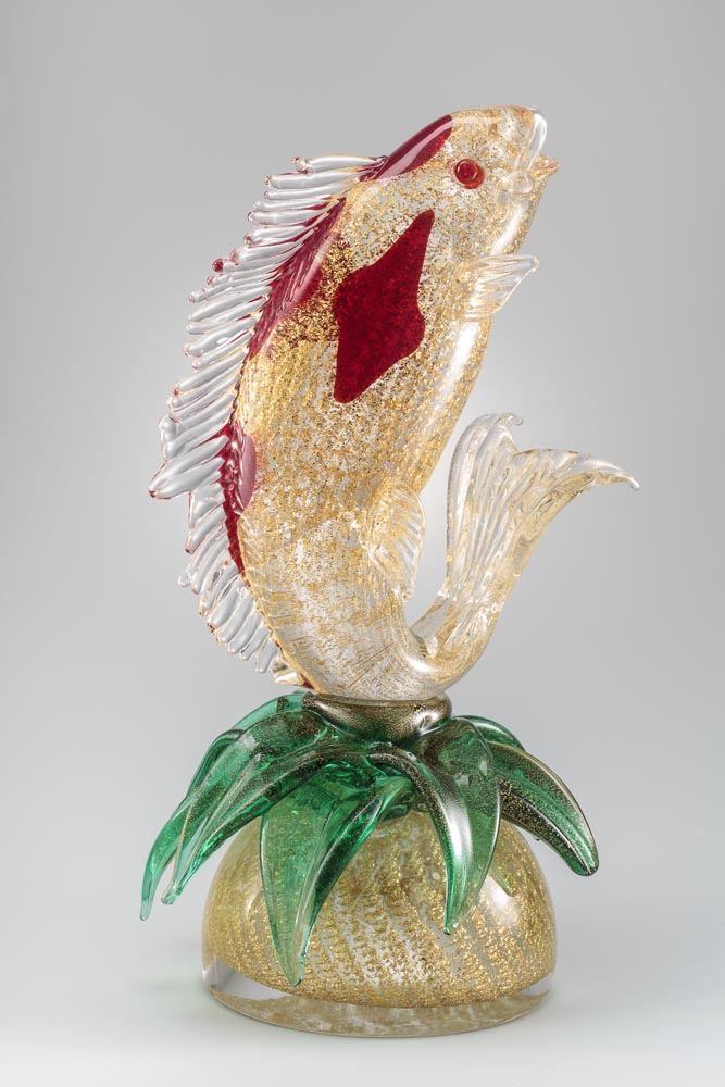 Fish Collection
