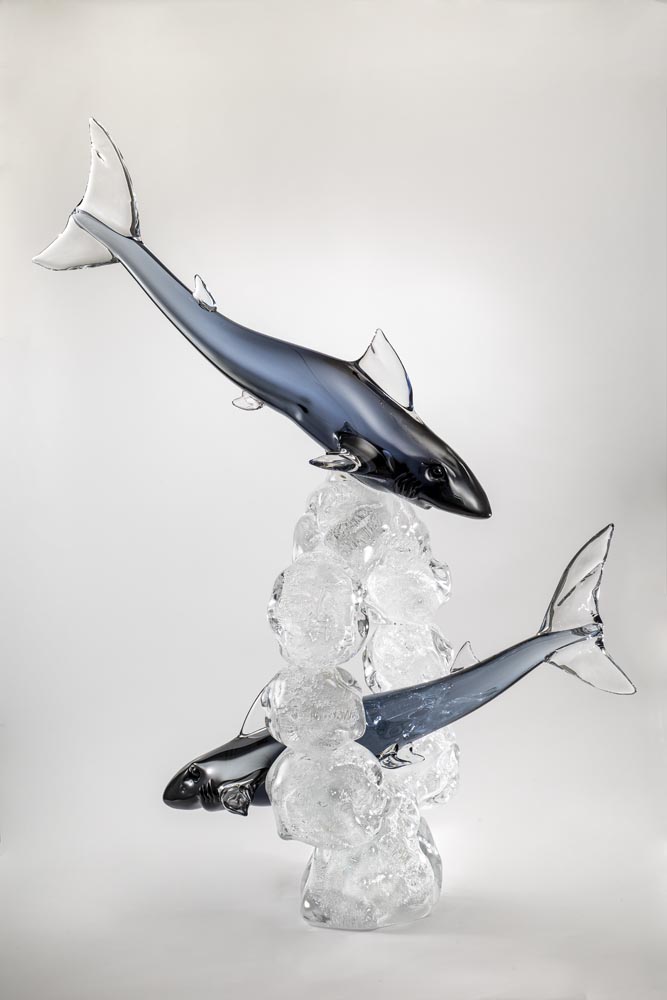 Fish Collection