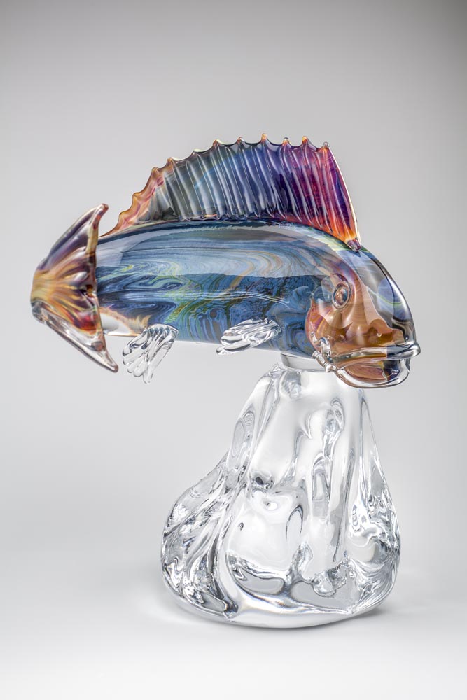 Fish Collection