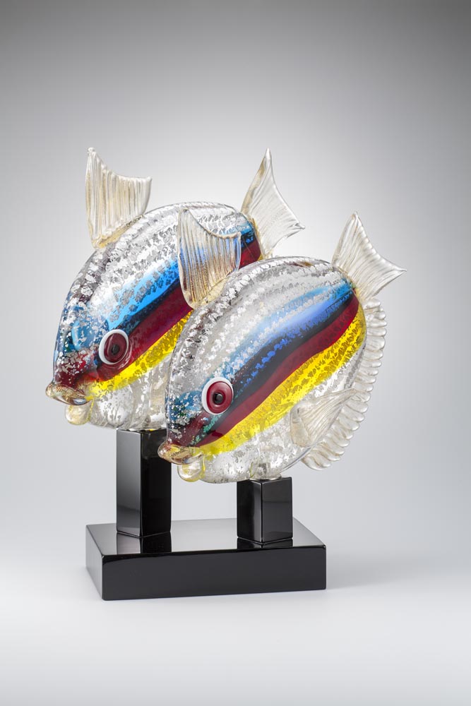 Fish Collection